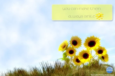 Maharashtra Pollution Control Board