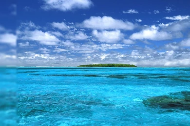 Tree Blue Sky And Field, Asus Transformer Infinity Wallpapers ...