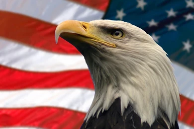 American Flag Wallpapers Archives   Desktop.Wallpaperchanel.com