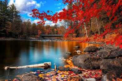 Beach Computer Wallpapers 58, Beach Pictures And Images