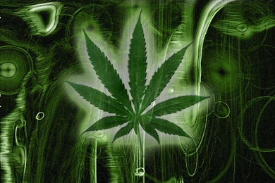 Ganja By SuKy 666 On DeviantArt