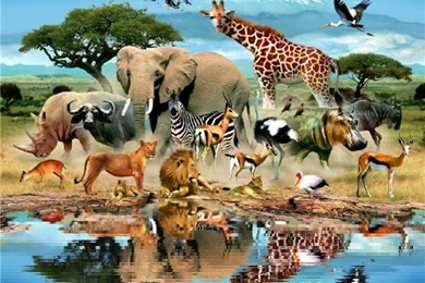 Hd Animation Wallpapers Free Download,desktop Wallpapers