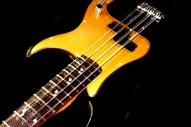 My Bass By Sorasan On DeviantArt