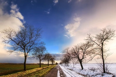 Wallpapers Winter Spring The Free 1024x768