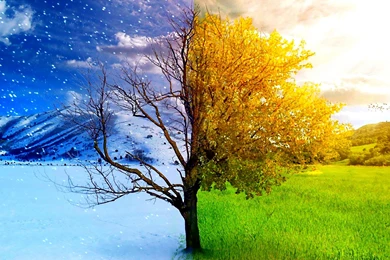 Dream Spring 2012   'bye 'winter,'hi' Spring! Wallpapers   HD ...