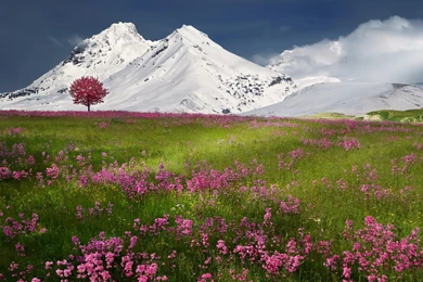 Spring Snow Mountains Nature Winter Wallpapers
