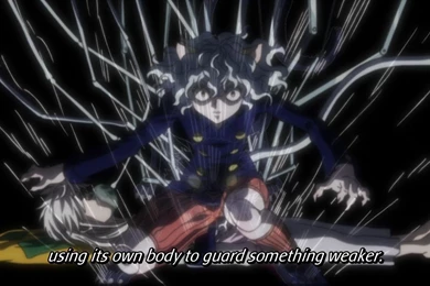 Hunter X Hunter – Episode 116