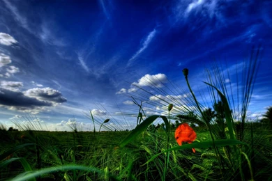 Ultra High Definition Pictures – 1920×1080 High Definition ...