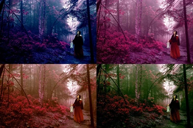 Winter Spring Summer Fall By Sketcher of dreams On DeviantArt