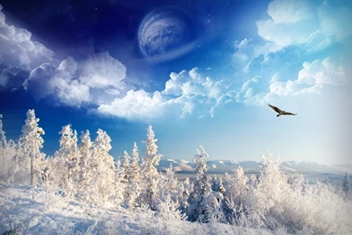 Winter Backgrounds Wallpapers