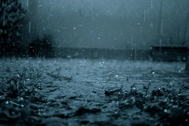 Rain Drops HD Desktop Wallpapers 7956   HD Wallpapers Site
