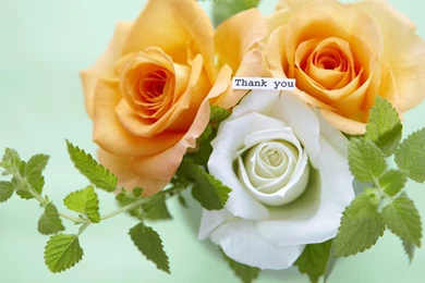 Download Wallpapers 3840x2160 Roses, Flowers, Three, Thanks, Greens ...