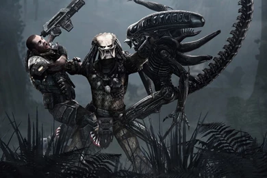 Aliens Vs Predator HD Desktop Wallpapers : High Definition ...