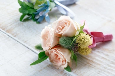 Beautiful Flowers HD 1920x1200 Wallpapers, 1920x1200 Wallpapers ...