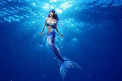 Mermaid Wallpapers