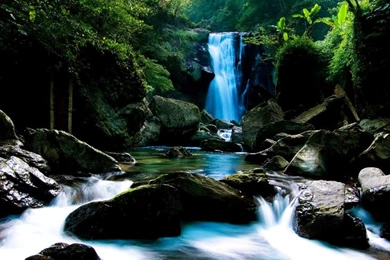 Free wallpaper downloads_1.jpg