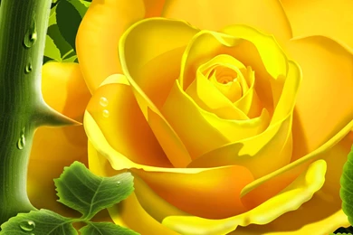 Free Wallpapers Downloads 2ab   HD Wallpapers