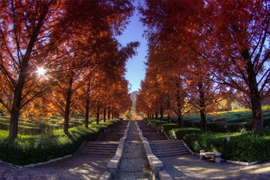 Latest Seductive Nature Photography Wallpapers 8 － Landscape ...