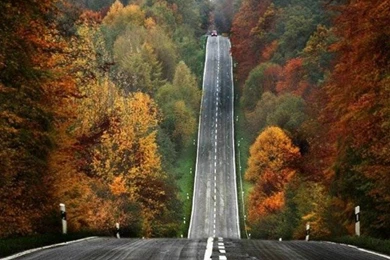 Wallpapers Nature Rod Games Free Road Trip The 1024x768