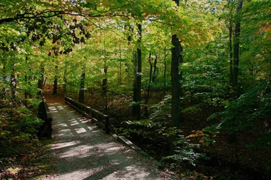 Latest Seductive Nature Photography Wallpapers － Landscape ...