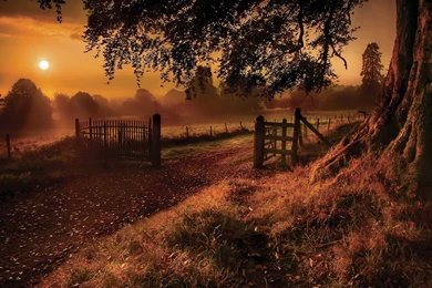 Heart Of Nature Wallpapers 10 － Landscape Wallpapers   Free ...