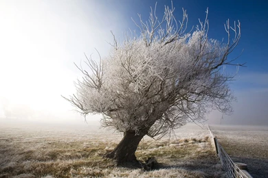 Latest Seductive Nature Photography Wallpapers 6 － Landscape ...