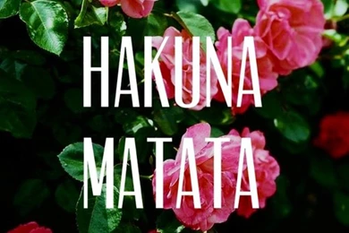 Valentina's Beauty Blog – Beauty . Fashion . Wellness