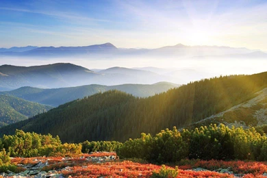 Mountains Landscapes Nature Trees Forests Hills Free Desktop >> HD ...