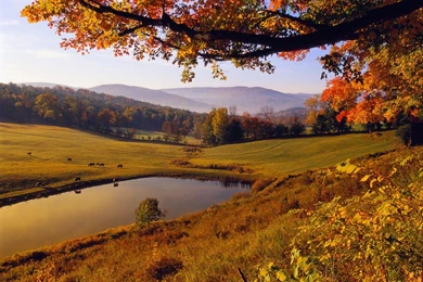 Autumn Landscape Desktop Wallpapers   HD Wallpaper Backgrounds Of ...