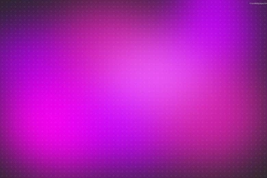 Wallpapers, Fuchsia, Rajan, Ahuja (