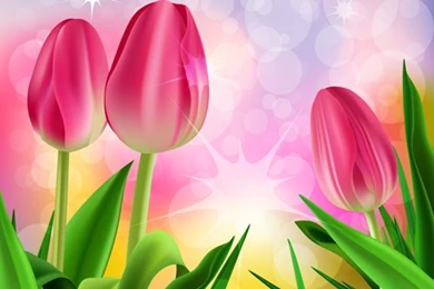 Spring Flower Beautiful Backgrounds Vectors 13   Vector Backgrounds ...