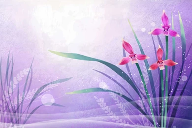 Fuchsia" Wallpapers   HD Wallpapers 76908