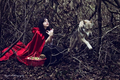 LITTLE RED RIDING HOOD WALLPAPER   (