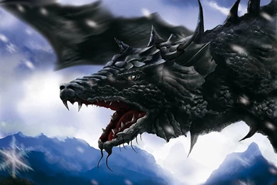 Black Dragon 32 High Resolution Wallpapers   Hivewallpaper.com
