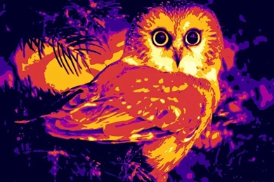 Turkey Asia Pamukkale Thermal 1920x1080 Wallpapers High Quality ...