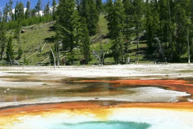 Download Wallpapers 750x1334 Yellowstone, Reserve, Lake, Source ...