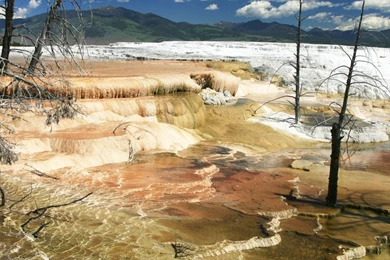 Download Wallpapers 2560x1024 Yellowstone, Reserve, River, Source ...