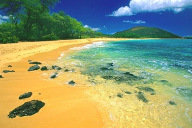 Most Exotic And Relaxing Beach Wallpapers