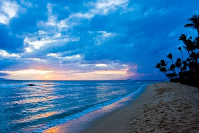 Maui (id: 178581) – BUZZERG