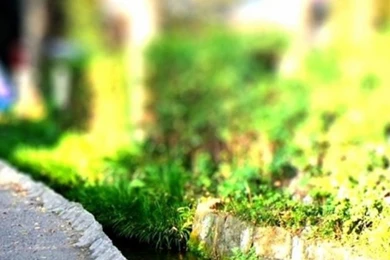 Nature Tilt Shift Mobile Wallpapers   Mobiles Wall