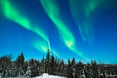 OLED Wallpapers Full HD 1080p