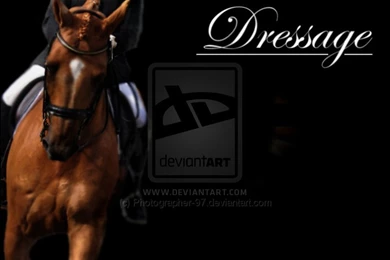 Suhit's Blog: TNA Mickie James In A Stylish Look Stunning Wearing ...