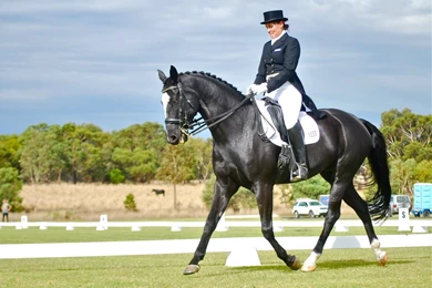 I Love Dressage By EquusAustralia On DeviantArt