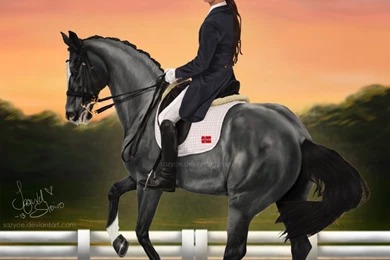Dimas And Houdini   CIEC 2013   Dressage By Prettybold On DeviantArt
