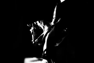 Schleich Dressage By Whalebutt On DeviantArt