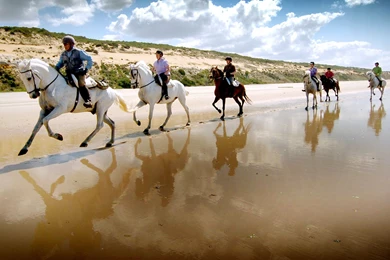 Dressage Training Spain. Holiday Center With Riding Lessons In Spain.