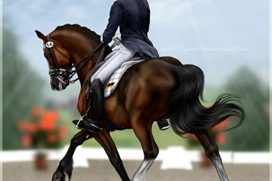 Hanoverian DeviantArt