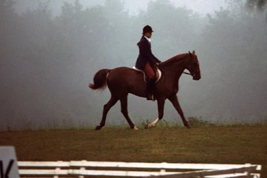 GreatWebLayouts.com: Free, Family Friendly MySpace Backgrounds And ...