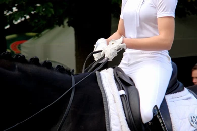 Dressage Detail Tack Saddle Hands Gloves By LuDa Stock On DeviantArt