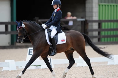 FEI Pony European Championships 2010: Team Netherlands In The Lead ...